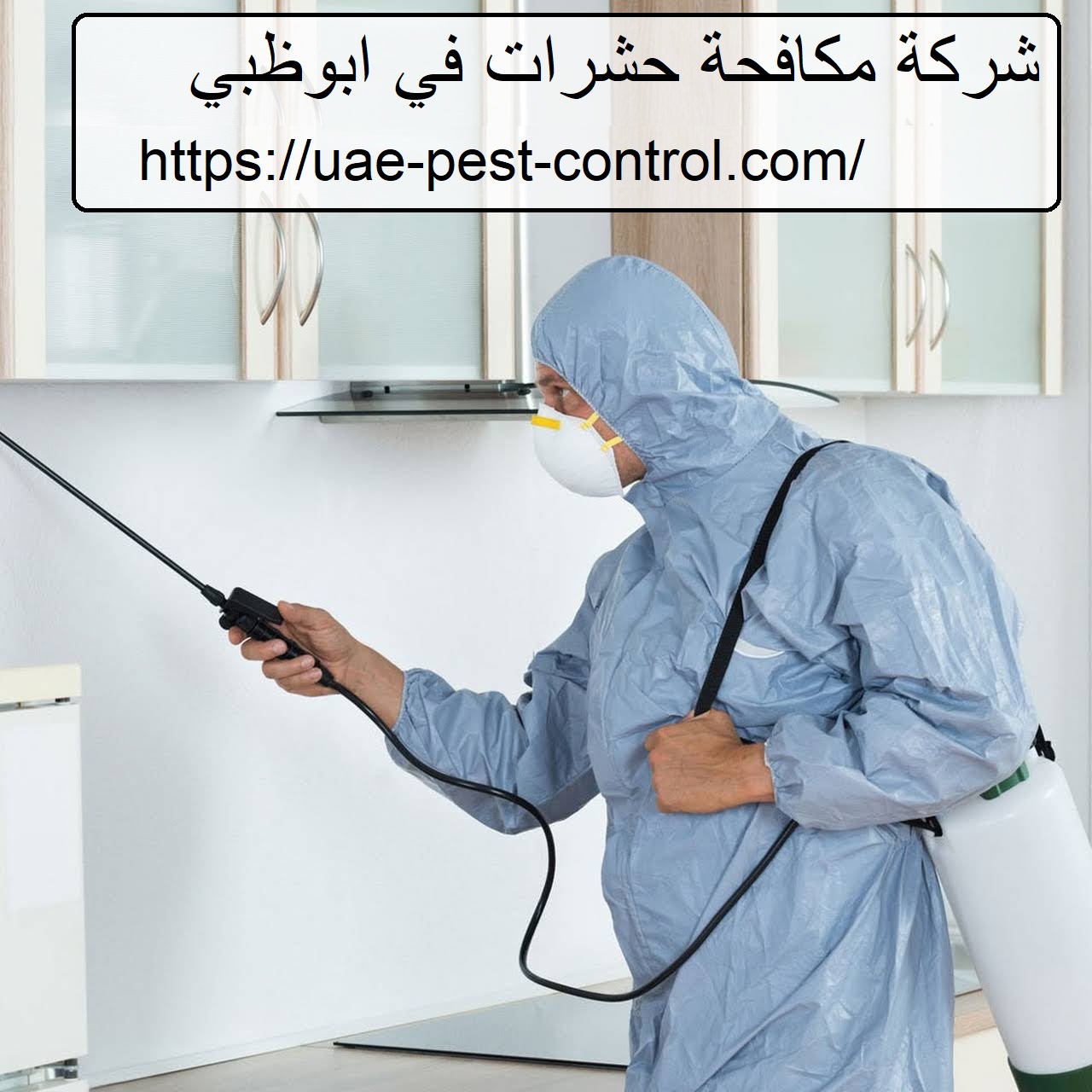 شركة مكافحة حشرات في ابوظبي
