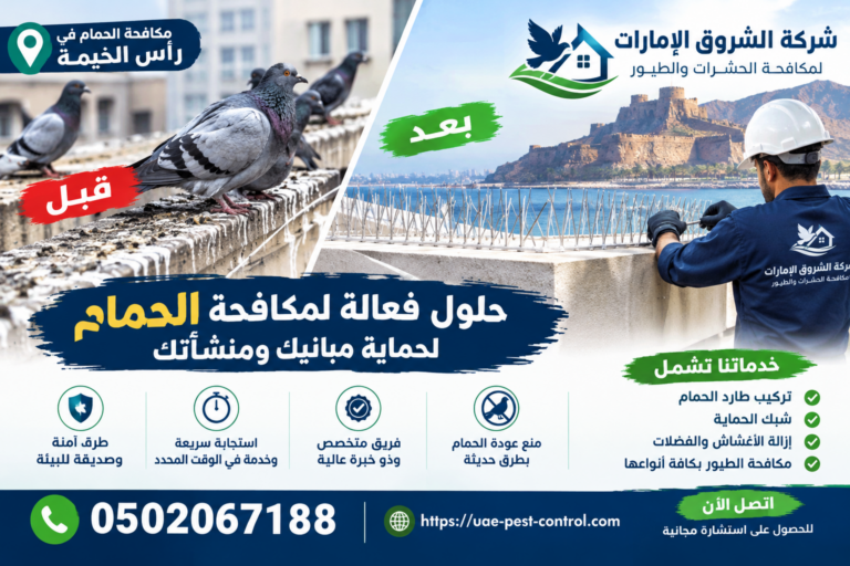شركة مكافحة الحمام في رأس الخيمة