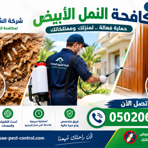 شركة مكافحة النمل الأبيض في أم القيوين