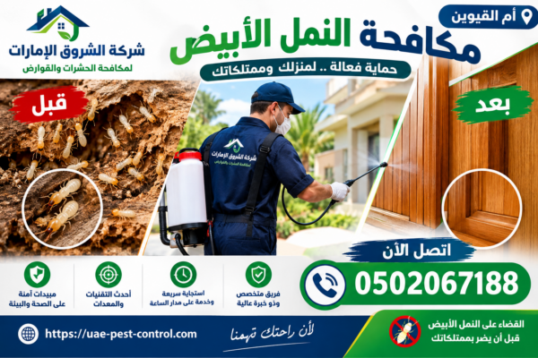 شركة مكافحة النمل الأبيض في أم القيوين شركة مكافحة النمل الأبيض في أم القيوين